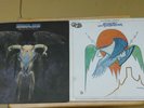 2 EAGLES QUADRAPHONIC CD-4 LP ONE OF THESE NIGHTS ,ON THE BORDER