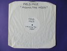 The FIELD MICE Missing The Moon WHITE LABEL TP PROMO 12