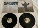 The Waterboys Modern Blues Double Vinyl LP Excellent