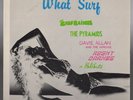 Orig WHAT SURF Raiders/Pyramids/Davie Allan Arrows/Agent Orange/Halibuts LP Punk