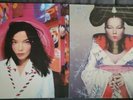 Post + Homogenic by Björk Bjork Vinyl LP