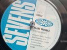 The Parliaments / Bob & Fred Goldmine Sevens 7
