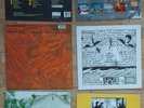 6  RARES LP - The Reverend Horton Heat - Curve Doppelganger - Gang Green Live …