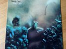 STEELY DAN 