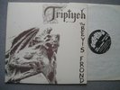 LP Bevis Frond Triptych  Nick Saloman  Woronzow  New Psychedelia