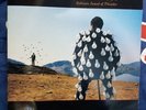 Pink Floyd ‎– Delicate Sound Of Thunder 2 LP VINILE 33 Giri