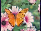 KOINONIA s/t LP PRIVATE Xian Folk Psych Funk BREAKS w/ Sticker RARE Listen HEAR