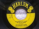 THE FABULOUS FLAMES - I'M GONNA TRY / SO LONG MY DARLING (HARLEM) TX RARE 45RPM