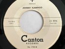 R&B Doo Wop JOHNNY FLAMINGO It Were You / I CANTON Rare 45 VG+