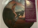 Red Hot Chili Peppers, Dani California 7