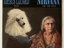 NIRVANA | The Jesus Lizard . original 7