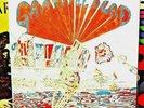 Grateful Dead Hampton ‘79 RSD Vinyl