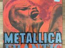 Metallica - Frantic 12