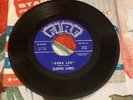 Elmore James Stranger Blues / Anna Lee 45 Rpm Fire Records