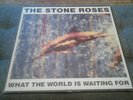The Stone Roses   UK 1st Pressing   Fools Gold  9.53  12