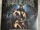 Cradle Of Filth Hammer Of Yhe Witches Picture Disc Vinyl