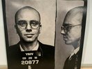 LOGIC Young Sinatra IV Vinyl