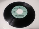 THE FREEBORNE- Land of Diana /Images  Rare Psychedelic Rock 45 