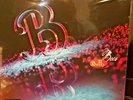 Belly BEES Deluxe Limited Edition 180g GATEFOLD Run Out Groove NEW VINYL 2 LP