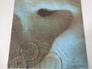 Pink Floyd Meddle Vinyl Record LP - SHVL795