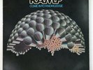 RAMP LP Come Into Knowledge ABC / BLUE THUMB original INNER Roy Ayers