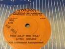 LITTLE RICHARD - GOOD GOLLY MISS  MOLLY - 1958  1 SIDED LONDON  DEMO  HLU8560 EX