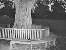 ARCHY MARSHALL - A NEW PLACE 2 DROWN NEW VINYL