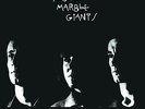 YOUNG MARBLE GIANTS-COLOSSAL YOUTH VINYL LP NEW
