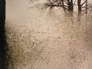 BON IVER - For Emma Forever Ago - Vinyl (LP)