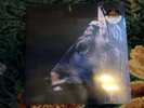 toe the book about my idle plot on a vague anxiety Fawn/Midnight Vinyl LP M/M