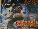Limp Bizkit Significant Other vinyl original pressing, still sealed