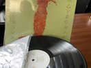 Porno For Pyros -  Good God’s Urge - 2016 Vinyl 1st Pressing (Pallas) Near Mint