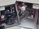 Sopor Aeternus & The Ensemble Of Shadows – Sanatorium Limited 500 copies DLP P81