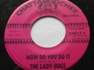 USA  THE LADY-BUGS How Do You Do It / Liverpool 1965 GIRL GROUP 45