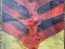 Yeah Yeah Yeahs - Show Your Bones - Vinyl LP First Pressing 2006 VG+