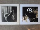 U2 Wide Awake In Amerika + Wide Awake in Europe Fan Club  Live EP  LP