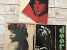 Vintage The Doors Vinyl LP Records Greatest Hits-Classics-Alive She Cried
