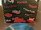 LOS TIGRES DEL NORTE EL MEXICANO LA MAFIA BANDA MACHOS 1990 MEXICO Latin Norteño