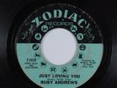 Northern Soul 45 RUBY ANDREWS Just Loving You ZODIAC HEAR