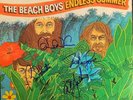 The Beach Boys 