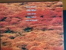 Kenny Wheeler - Gnu High (1976 ECM 1069) LP VG+