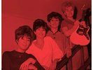 Goldie And The Gingerbreads-Thinking About The Good Times 1964-1966 VINYL NEUF