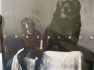 6lack -Free 6lack  vinyl
