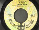 TIMOTHY WILSON: just another guy / my queen of hearts BUDDAH 7