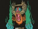 HIATUS KAIYOTE - CHOOSE YOUR WEAPON VINYL LP
