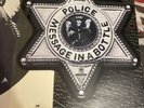 THE POLICE-MESSAGE IN A BOTTLE PICTURE DISC IN FOLDER USA   -:)....