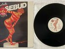 ROSEBUD Discoballs A Tribute To Pink Floyd Vinyl LP Record (FRANCE) 1977 NM