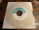 RARE original Studio 45 Recording BEAU HAVENS Wash DC Garage Rock Band music