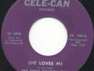 Sweet Harmony - THIRD POSITION TRIO - She Loves Me / Gator Party - Cele-Can
