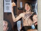 Dinosaur Pile-Up - Celebrity Mansions - Ltd Ed Signed Clear Vinyl Record Album